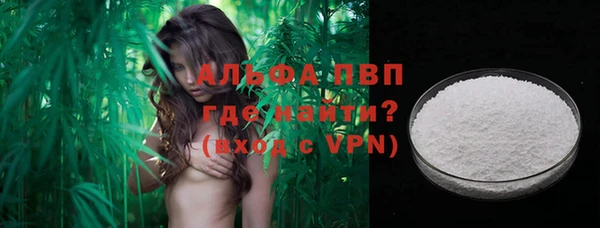 стафф Лабытнанги