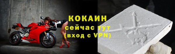 шишки Ладушкин