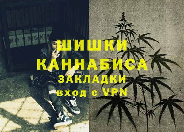 стафф Лабытнанги