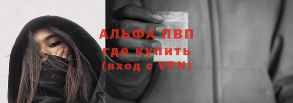 шишки Ладушкин