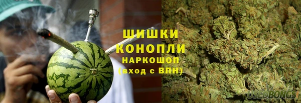 шишки Ладушкин