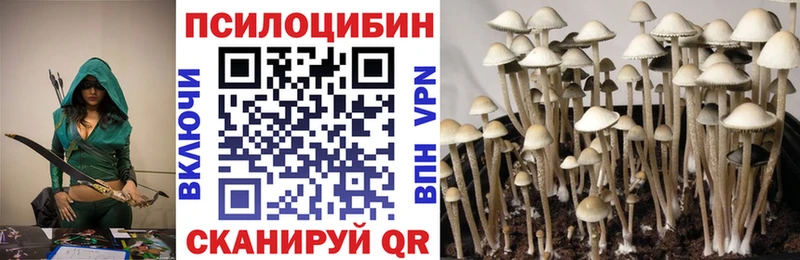 мориарти формула  цена   Приморско-Ахтарск  Галлюциногенные грибы GOLDEN TEACHER 